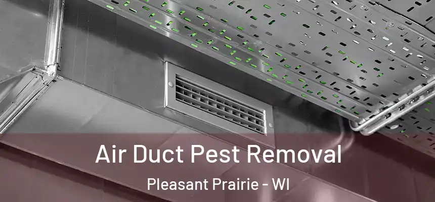 Air Duct Pest Removal Pleasant Prairie - WI