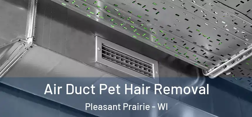  Air Duct Pet Hair Removal Pleasant Prairie - WI