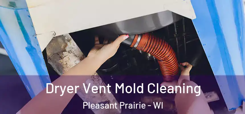  Dryer Vent Mold Cleaning Pleasant Prairie - WI