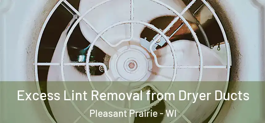 Excess Lint Removal from Dryer Ducts Pleasant Prairie - WI