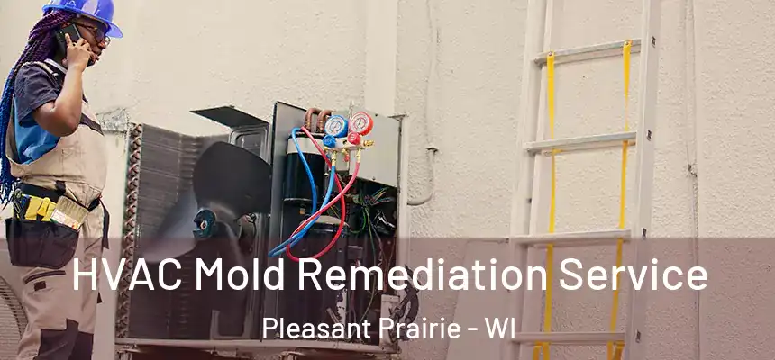 HVAC Mold Remediation Service Pleasant Prairie - WI
