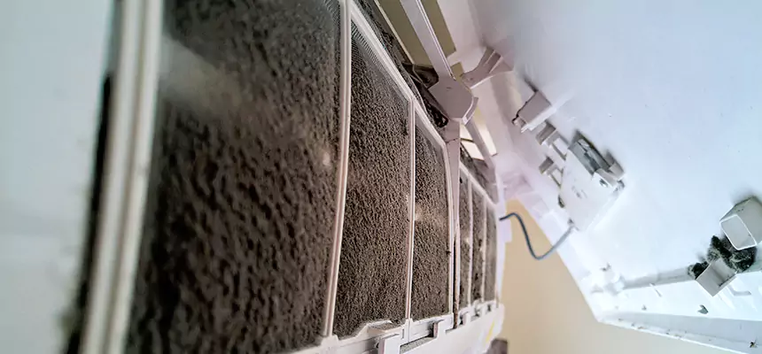 Preventive Air Duct Bacteria Removal in Pleasant Prairie