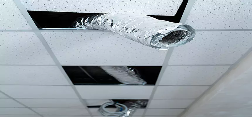 Our Air Duct Pet Hair Removal Services in Pleasant Prairie, WI