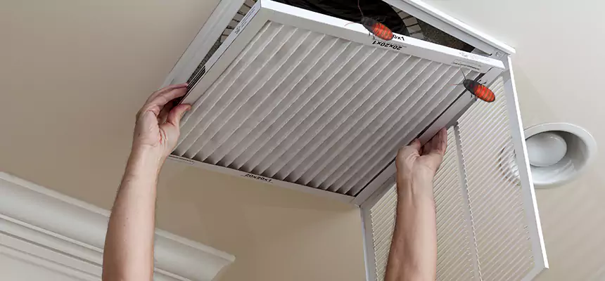 Our Insect Removal from Air Ducts Services in Pleasant Prairie, WI