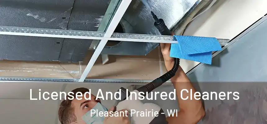  Licensed And Insured Cleaners Pleasant Prairie - WI