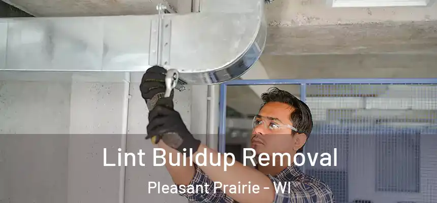 Lint Buildup Removal Pleasant Prairie - WI