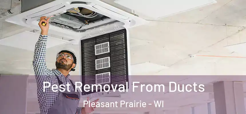  Pest Removal From Ducts Pleasant Prairie - WI