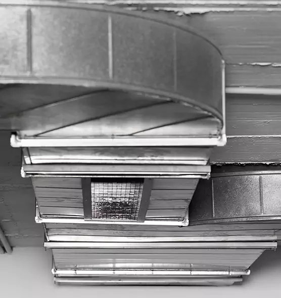 Professional Air Duct Pet Hair Removal in Pleasant Prairie, WI