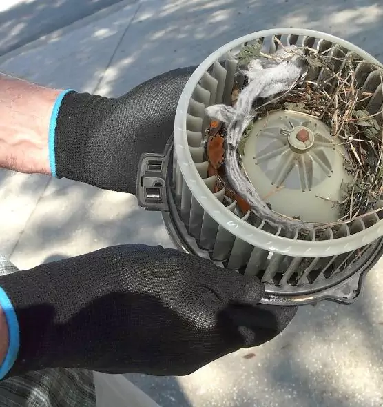 About Air Duct Rat Removal in Pleasant Prairie, WI