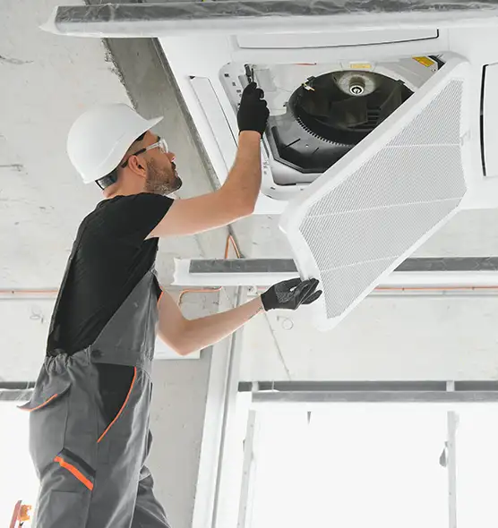 About Air Duct Rodent Removal in Pleasant Prairie, WI