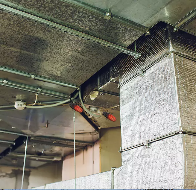 Why Homeowners & Businesses Trust Us in Pleasant Prairie, WI?