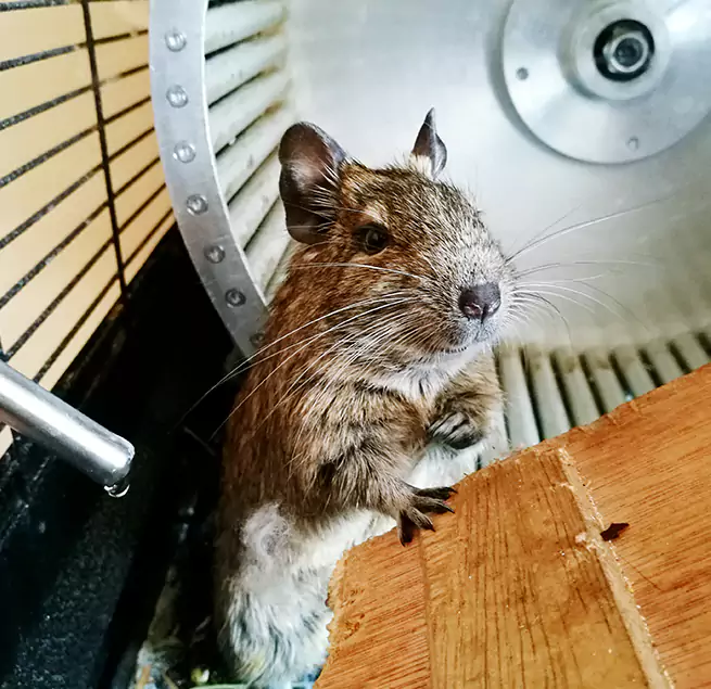 Why Homeowners & Businesses Trust Us Pleasant Prairie, WI?